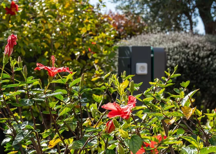 Βίλα Elisio Do Mar By Lovelystay *